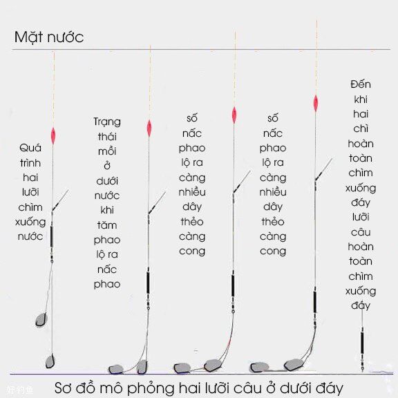 chỉnh phao một cách chính xác