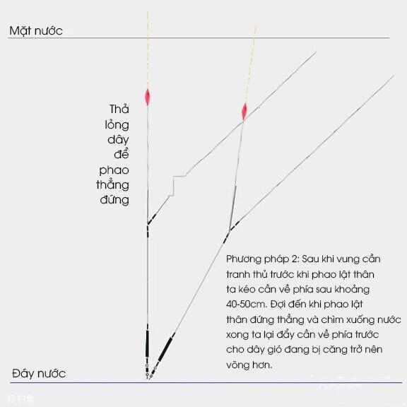 4 Bước chỉnh phao một cách chính xác