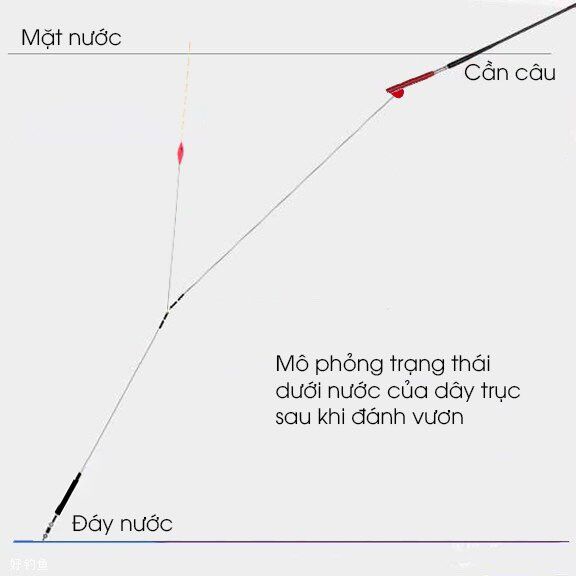 4 bước để chỉnh phao một cách chính xác