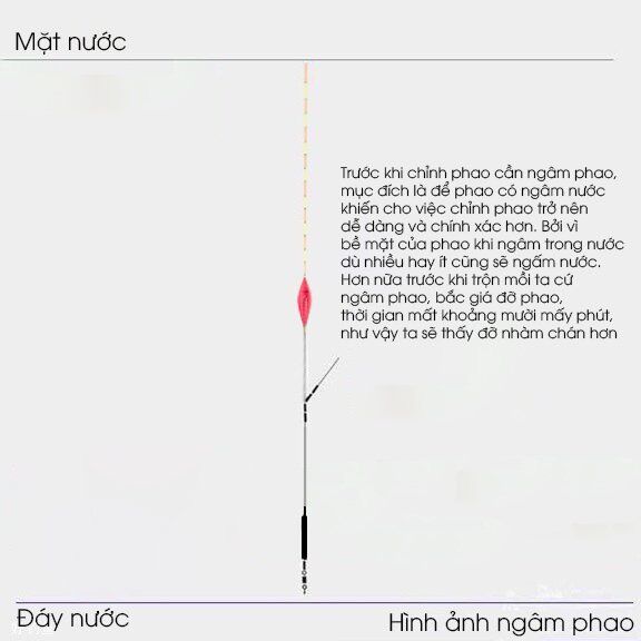 4 Bước cân chỉnh phao