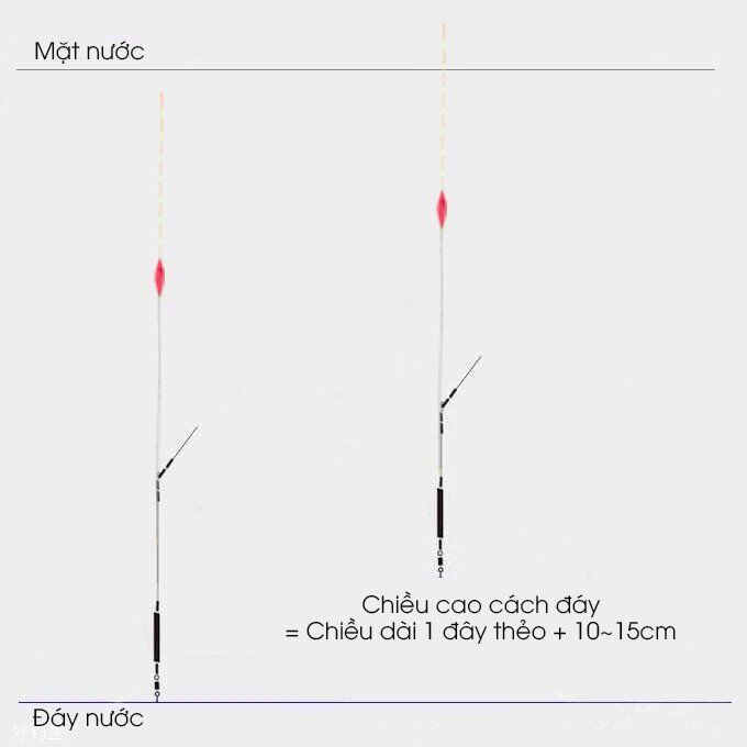 chỉnh phao một cách chính xác