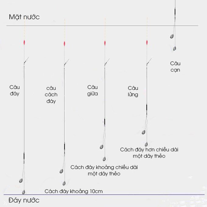 chỉnh phao một cách chính xác