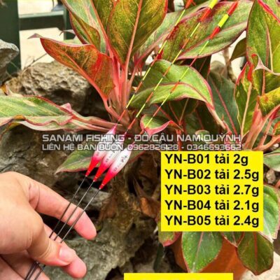 Phao đài nano Vân Trung Tiên