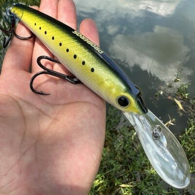 Mồi Câu Lure Minnow PROBEROS DW612 - MO95