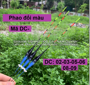 Phao DC Đổi Màu – Không Đổi Màu Tăm To – SPC14