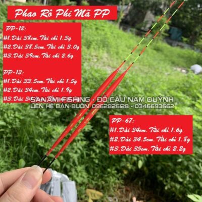 Phao Rô Phi PP-12, PP-13 – PCC09