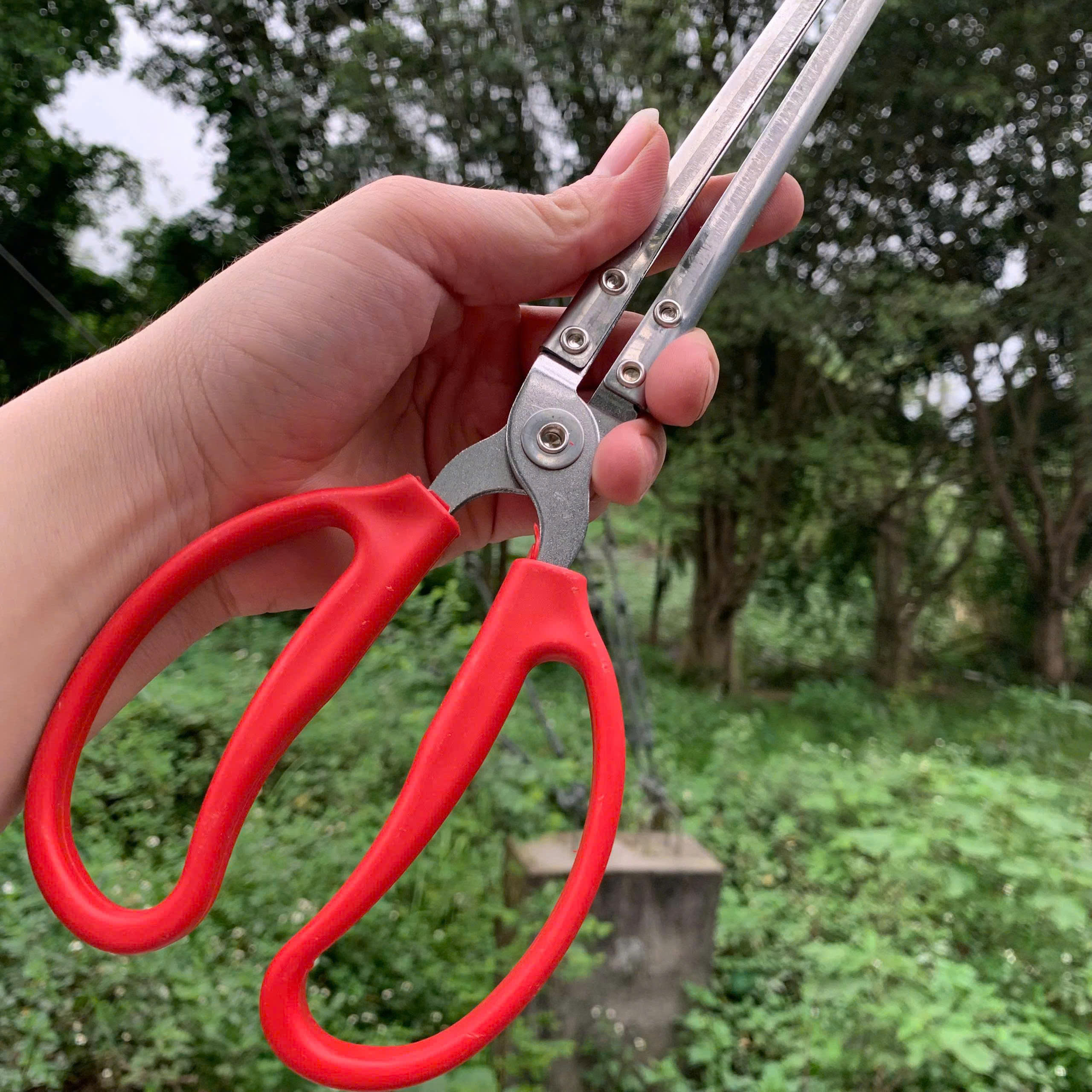 Kẹp Bắt Lươn, Rắn, Hải Sản, Cua Ghẹ, Tôm Hùm – LK4 Kẹp Bắt Lươn, Rắn, Hải Sản, Cua Ghẹ, Tôm Hùm – LK4